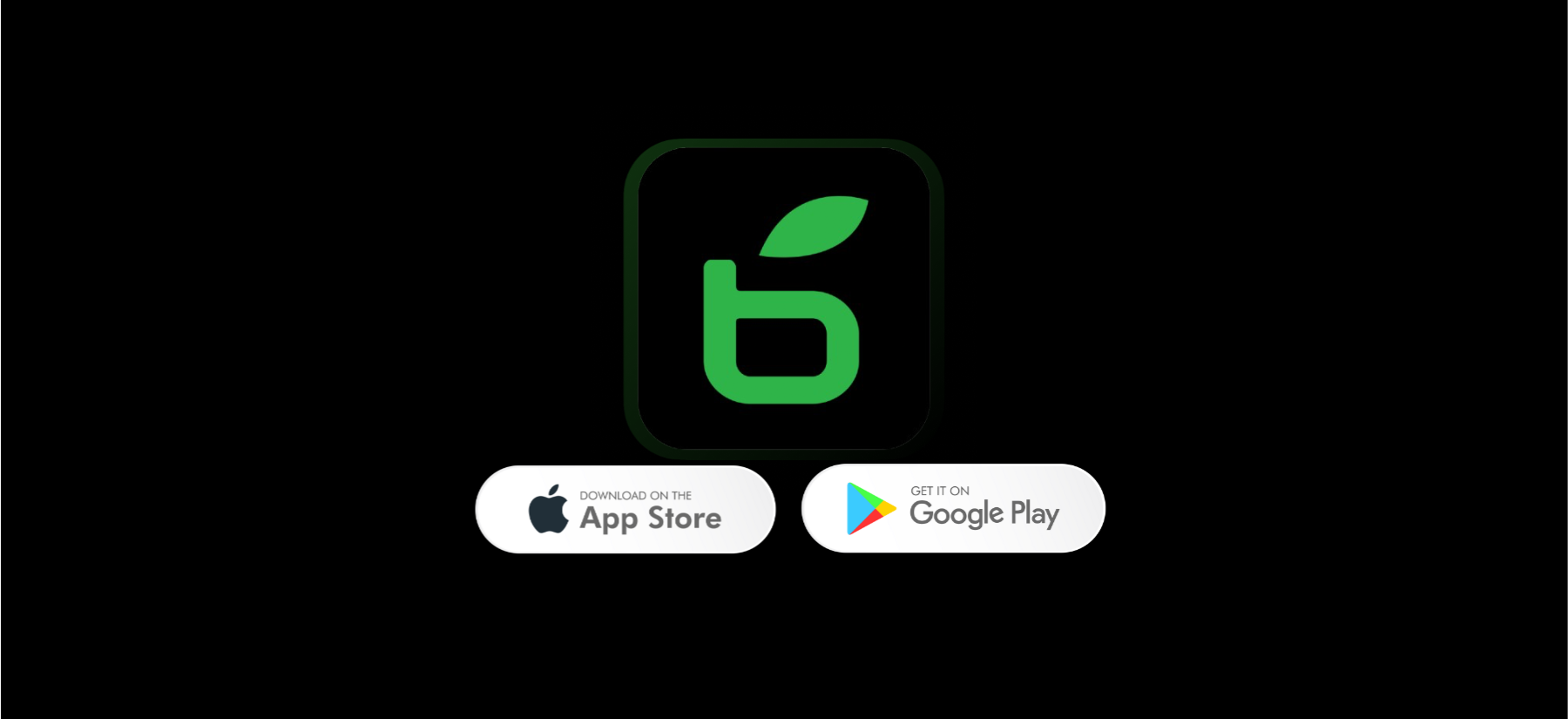 Bloom is Live